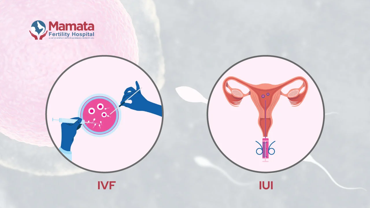 difference between IVF and IUI