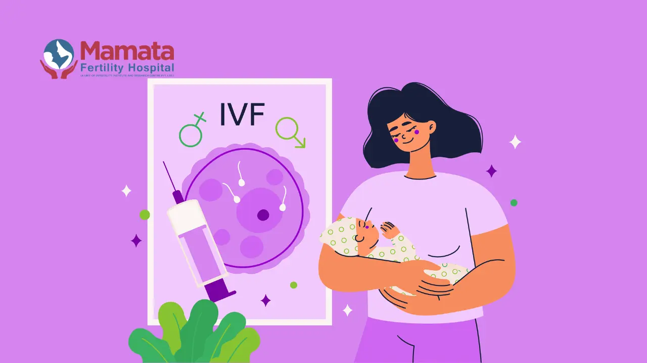 Stages of IVF