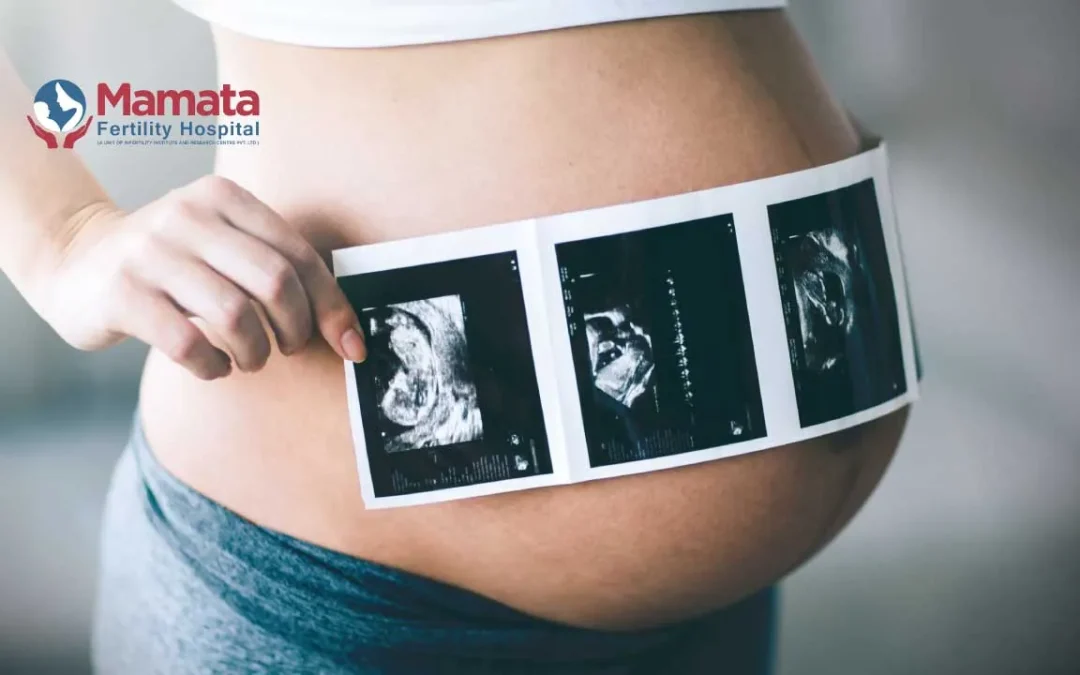 What are the 3 Scans in Pregnancy?