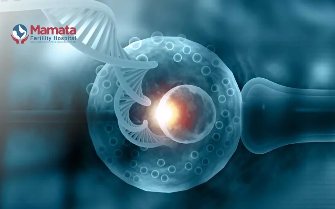 Role of AI in IVF