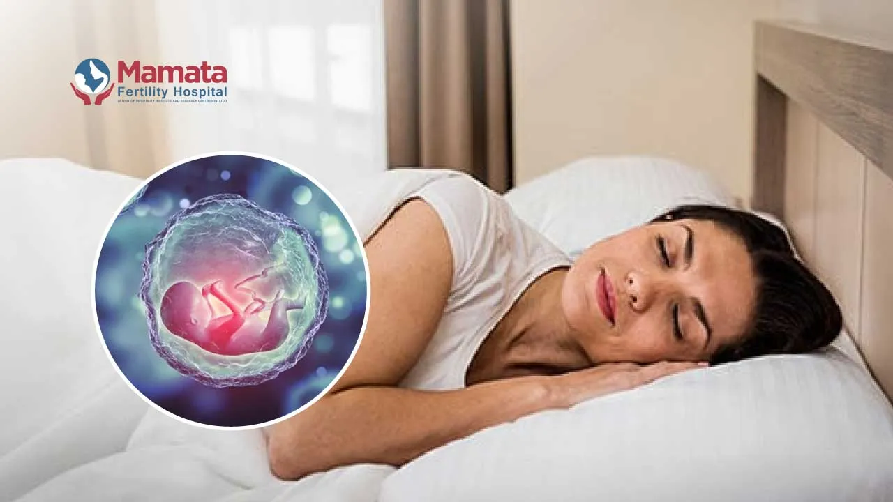 What to Do Before and After Embryo Transfer?