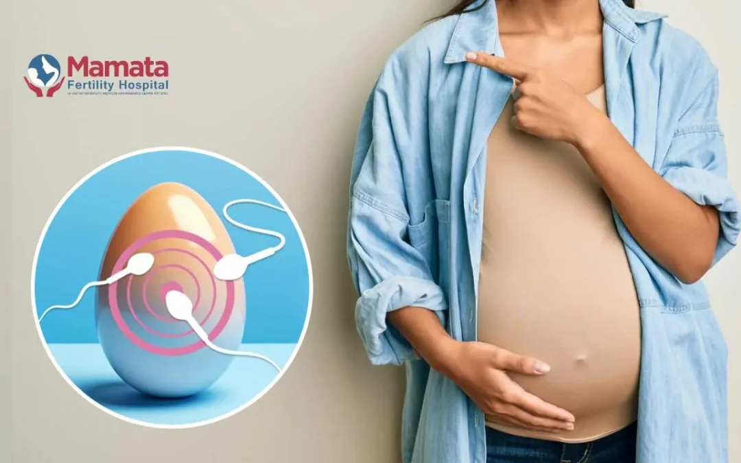 Can I Get Pregnant With Poor Egg Quality?
