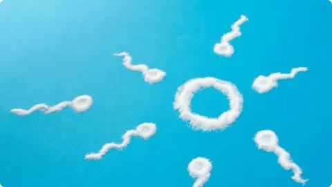is l carnitine good before bed Male Infertility